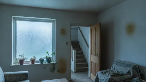 Signes d'humidité dans une maison à vendre, guide 2026 - signes humidite maison vendre